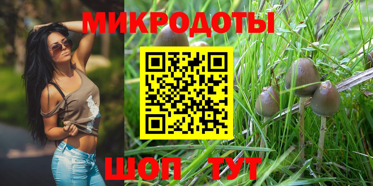 купить наркотик  Вход с VPN  Донской  Галлюциногенные грибы MAGIC MUSHROOMS 